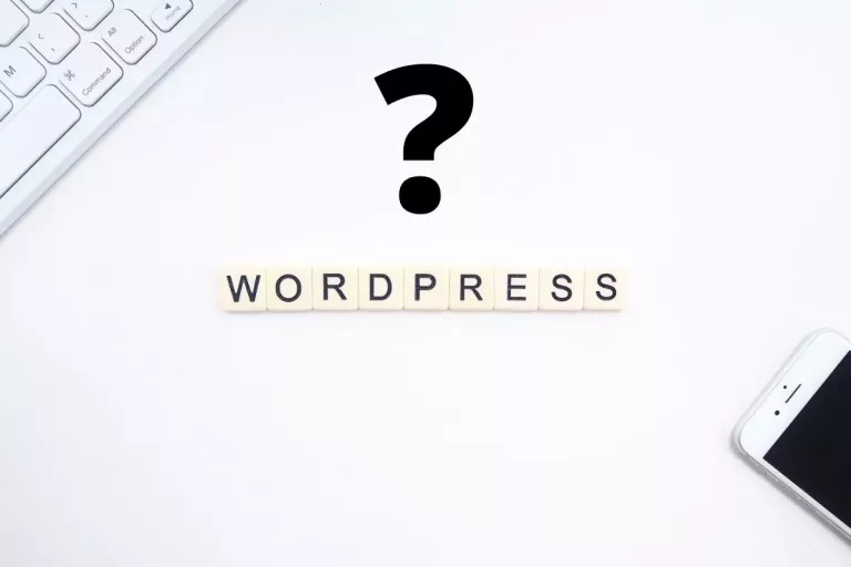 WordPress Theme herausfinden